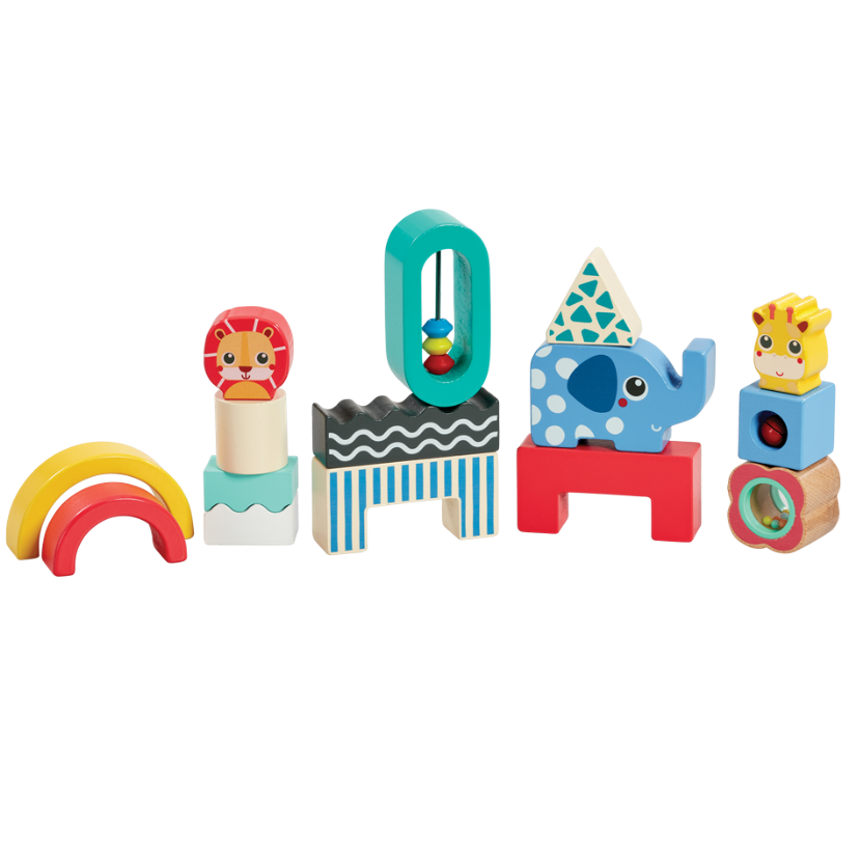 Wooden Shape & Animal Blocks