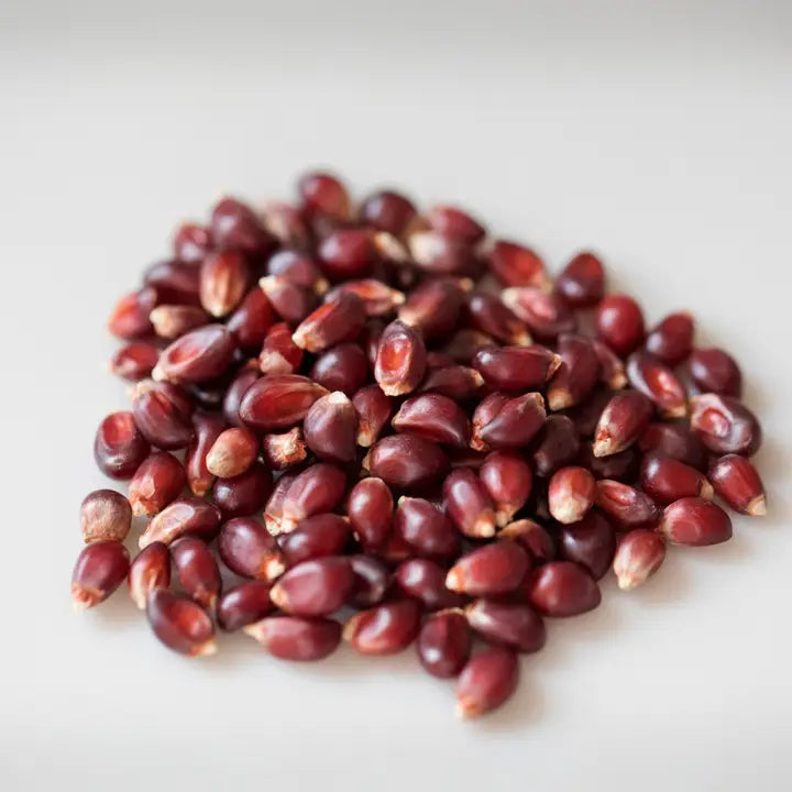 Red Popcorn | 2lb