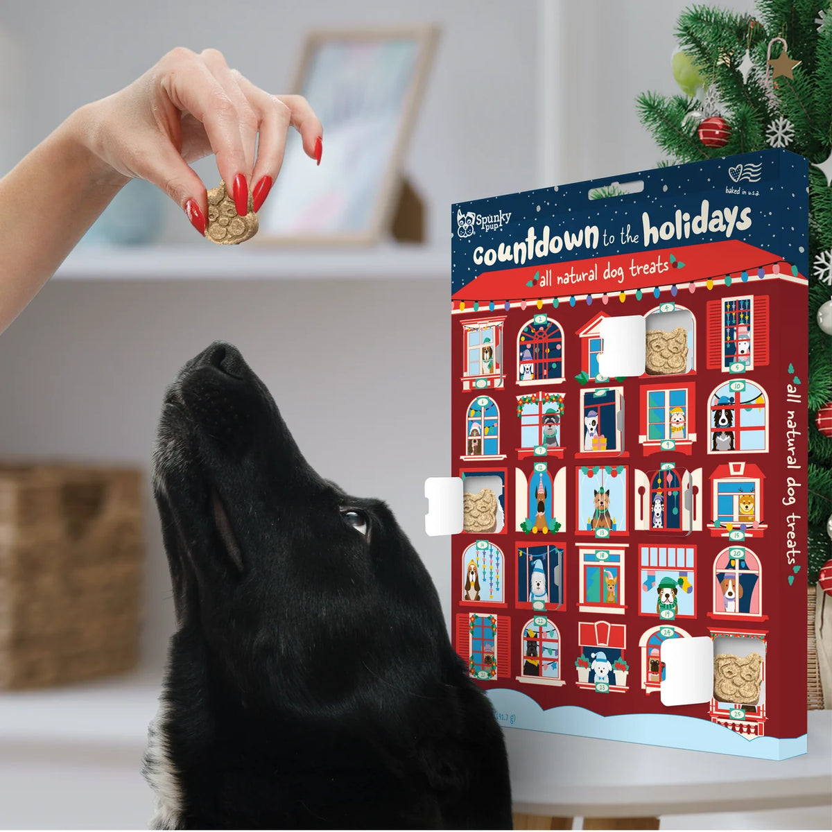 Count Down to the Holidays Treat Advent Calendar