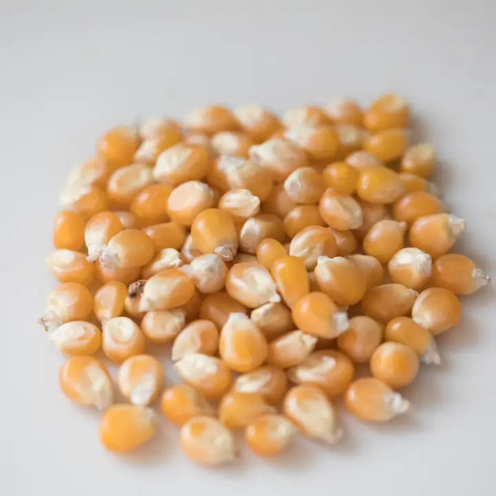 Mushroom Popcorn