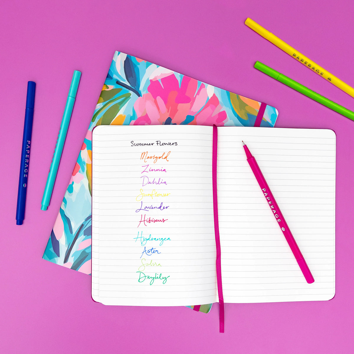 Paperage Fine Liner Pens 12 pk
