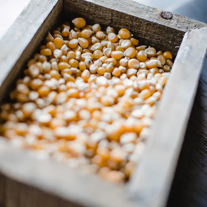 Extra Large Carmel Popcorn 25lb Bag