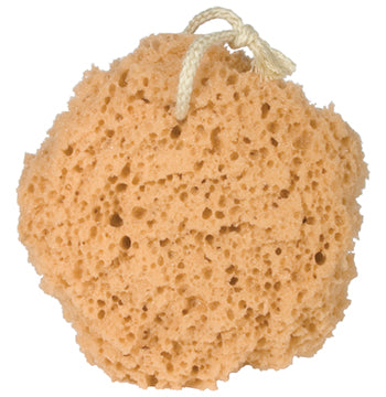 Bath Sponge 5"