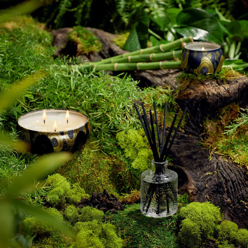 Moso Bamboo - Reed Oil Diffuser