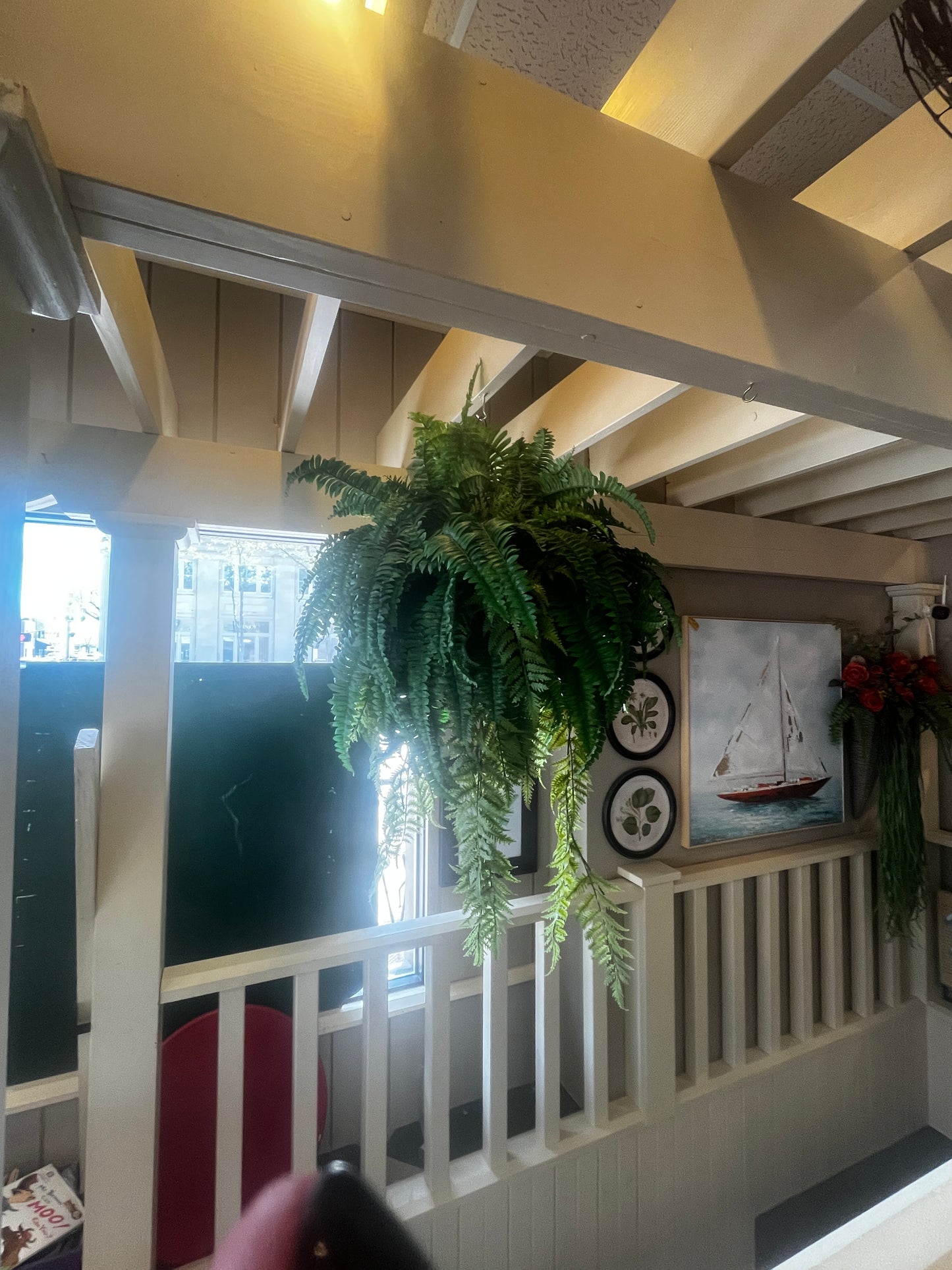 Hanging Outdoor Fern - UV Protected