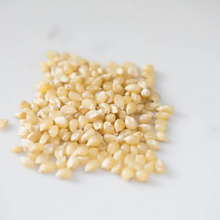 Medium White Hulless Popcorn