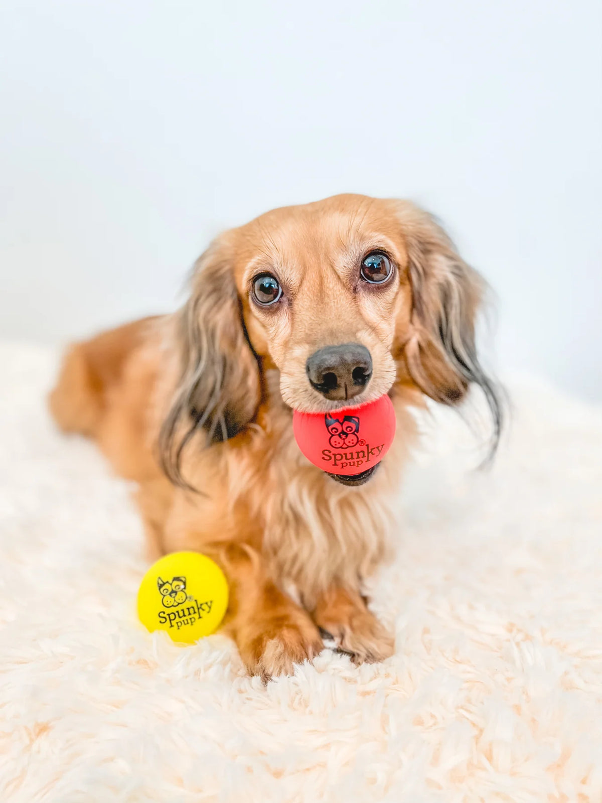 Fetch & Glow | Glowing Fetch Ball | Small 2pk
