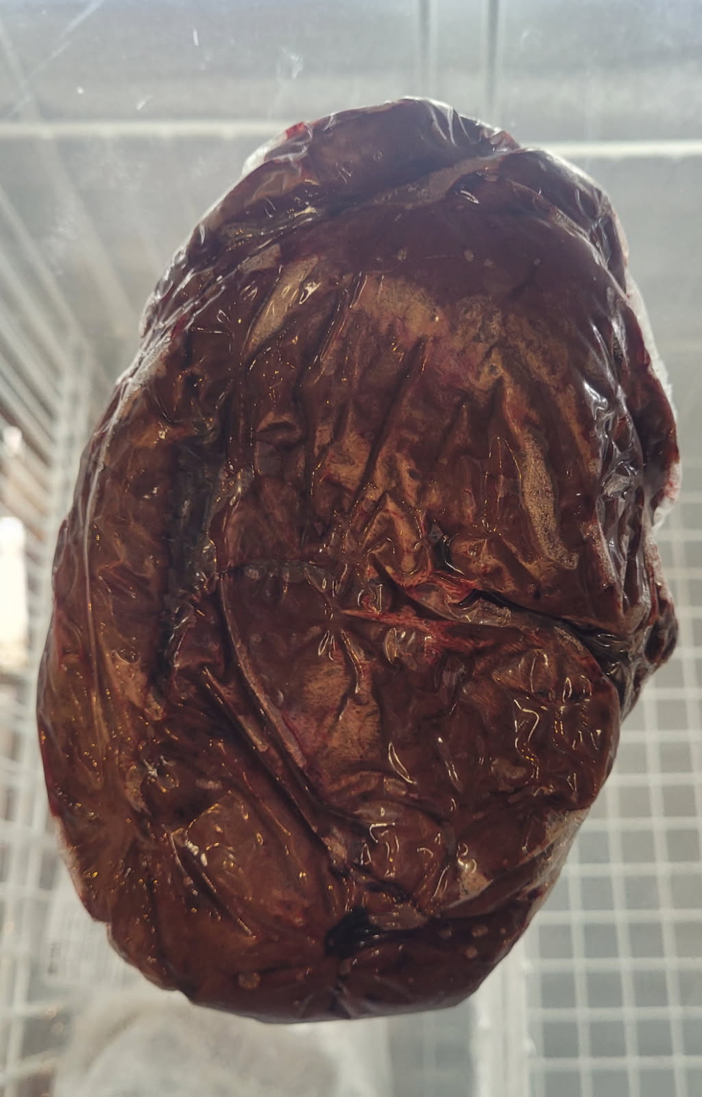 Beef Liver