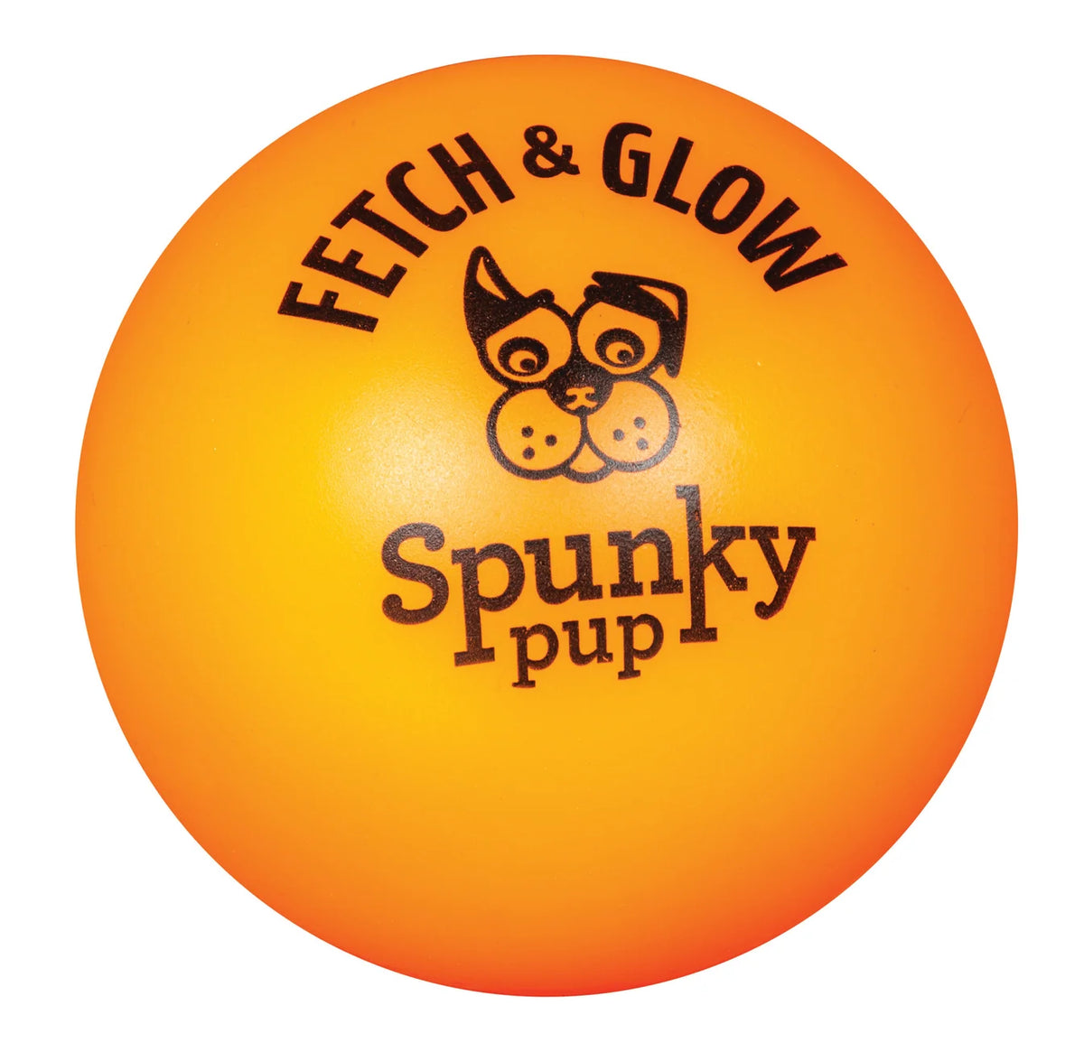 Fetch & Glow | Glowing Fetch Ball | Large