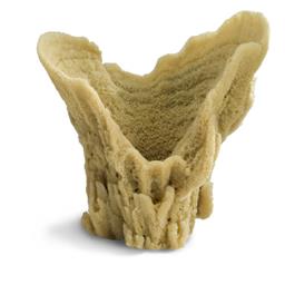 Sponge Colossal Vase 13in and up