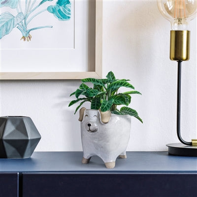 Ceramic Dog Cachepot