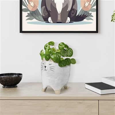 Ceramic Cat Cachepot