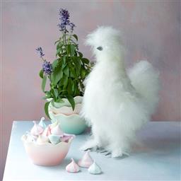 Dolly Fluffy Chicken