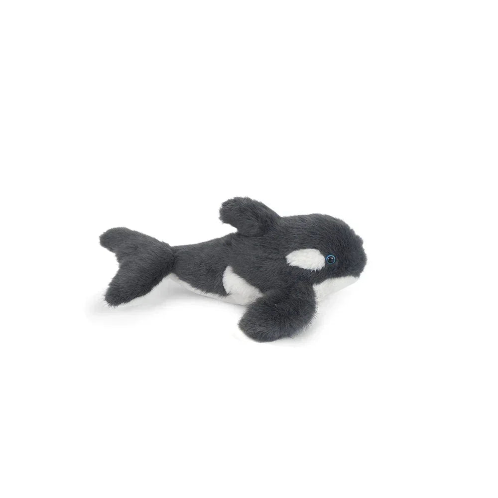 Orca Whale