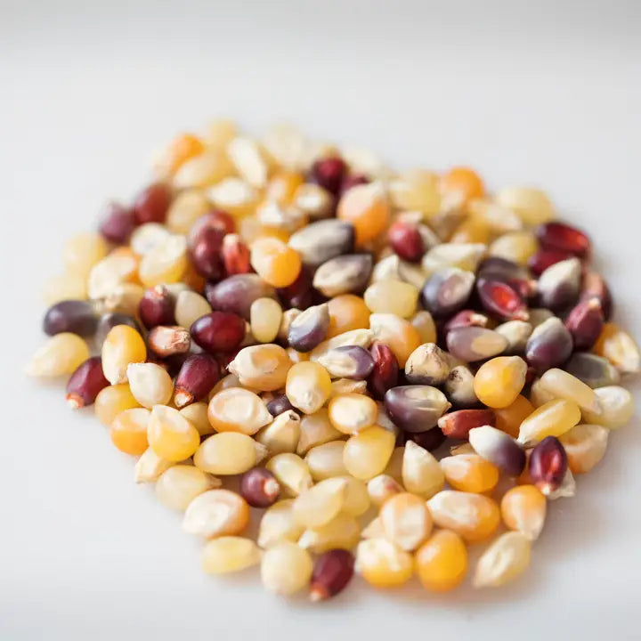Rainbow Unique Blend Popcorn