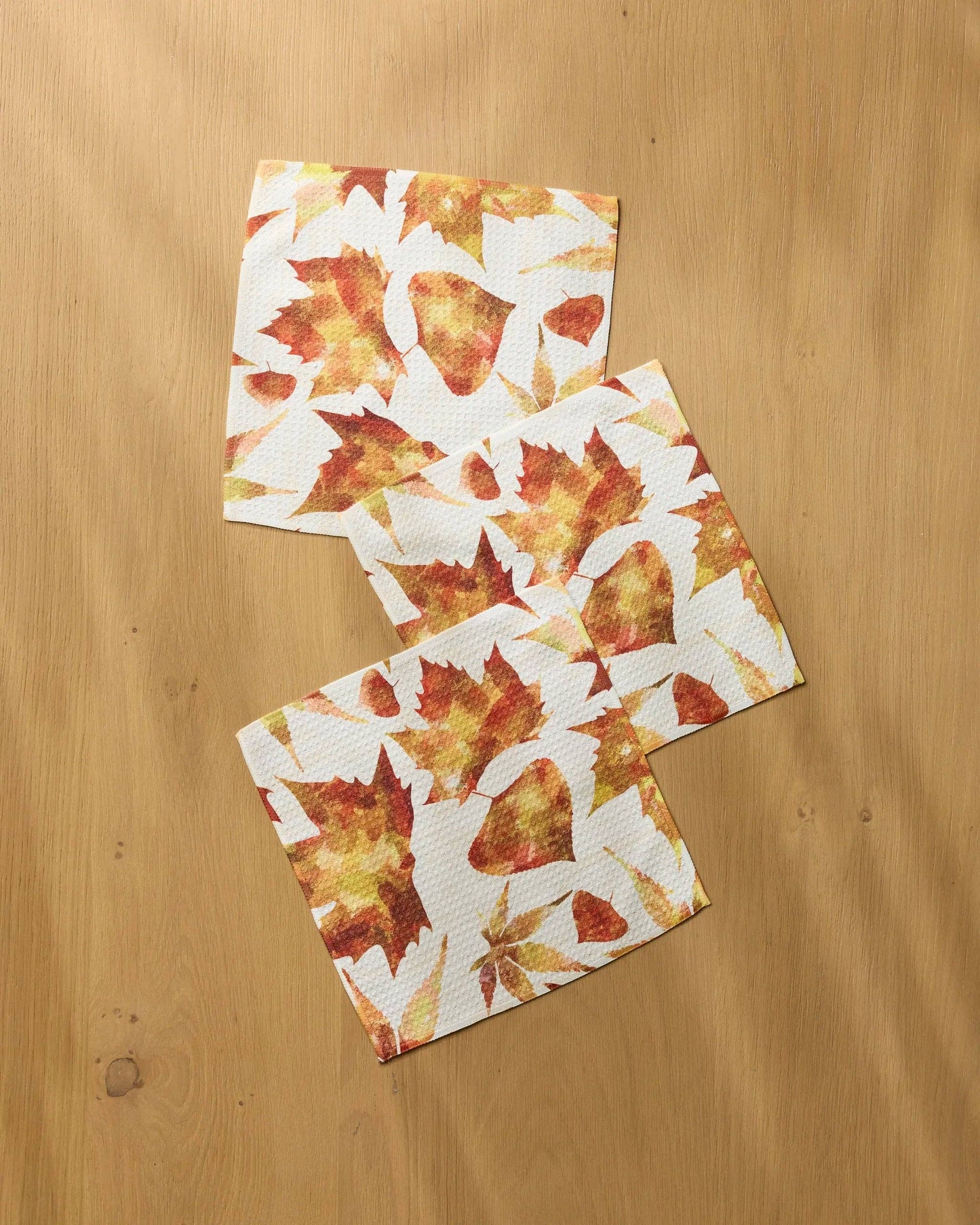 Painted Fall Dishcloth Set
