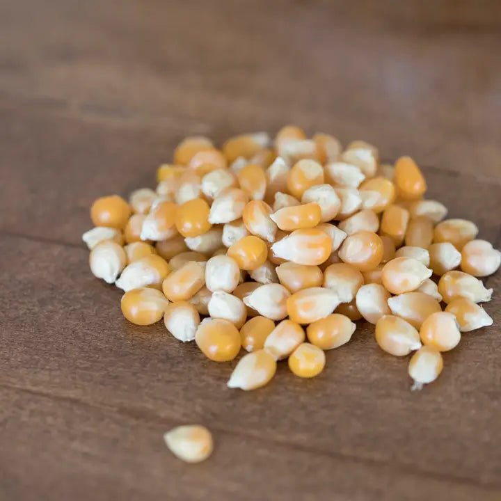 Extra Large Carmel Popcorn 25lb Bag