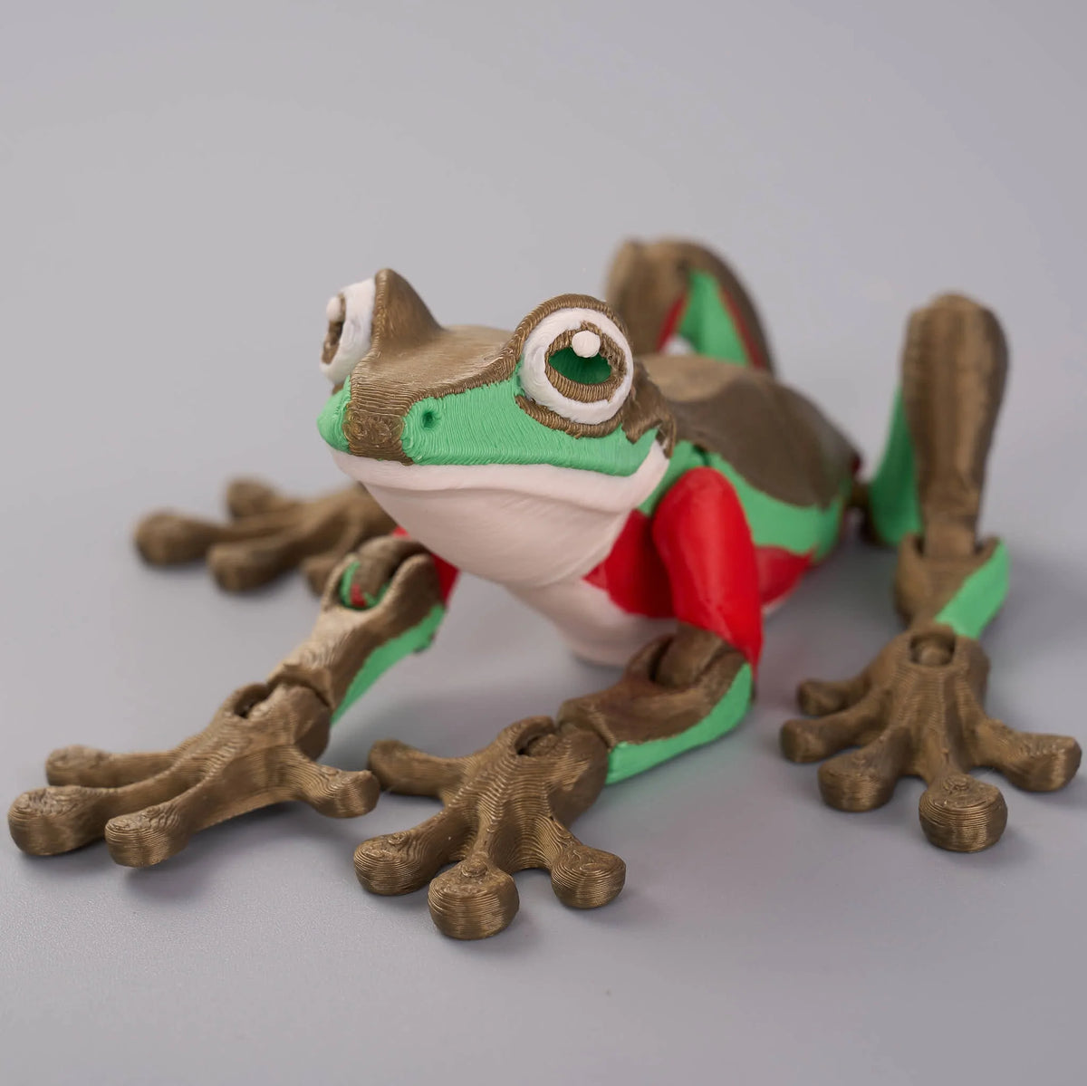 Palm Fidget | Blue Mountain Tree Frog