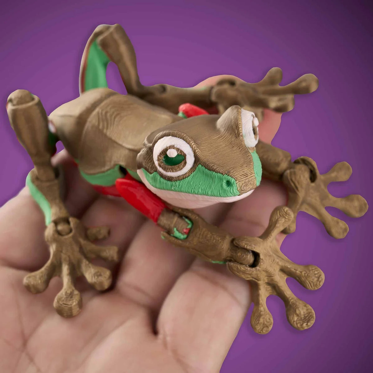 Palm Fidget | Blue Mountain Tree Frog