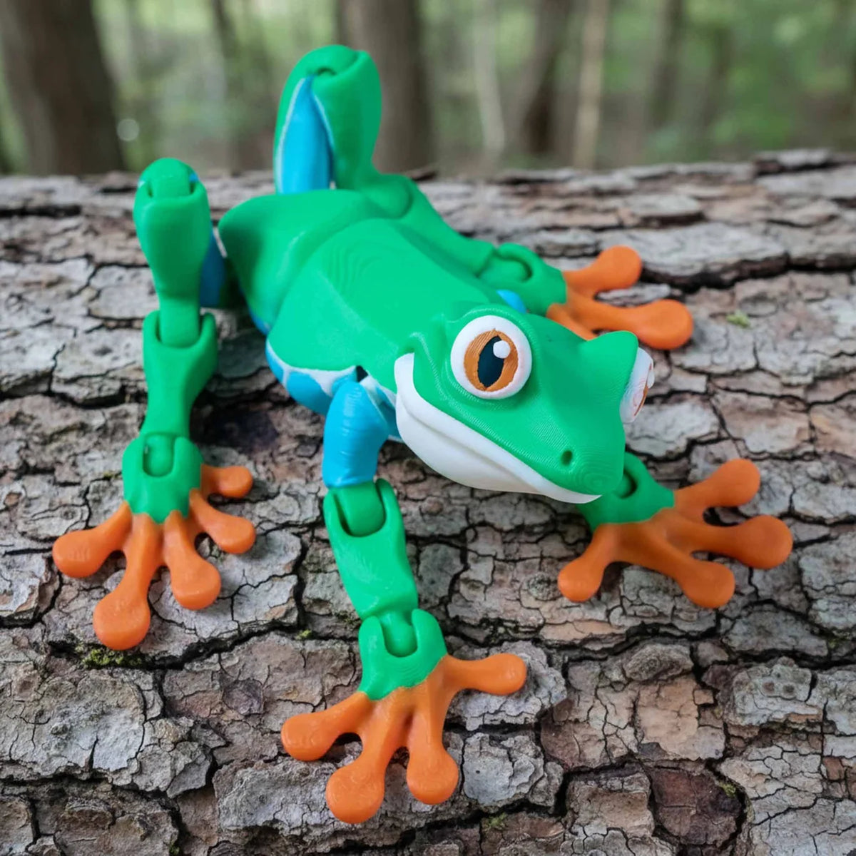 Palm Fidget | Green Tree Frog