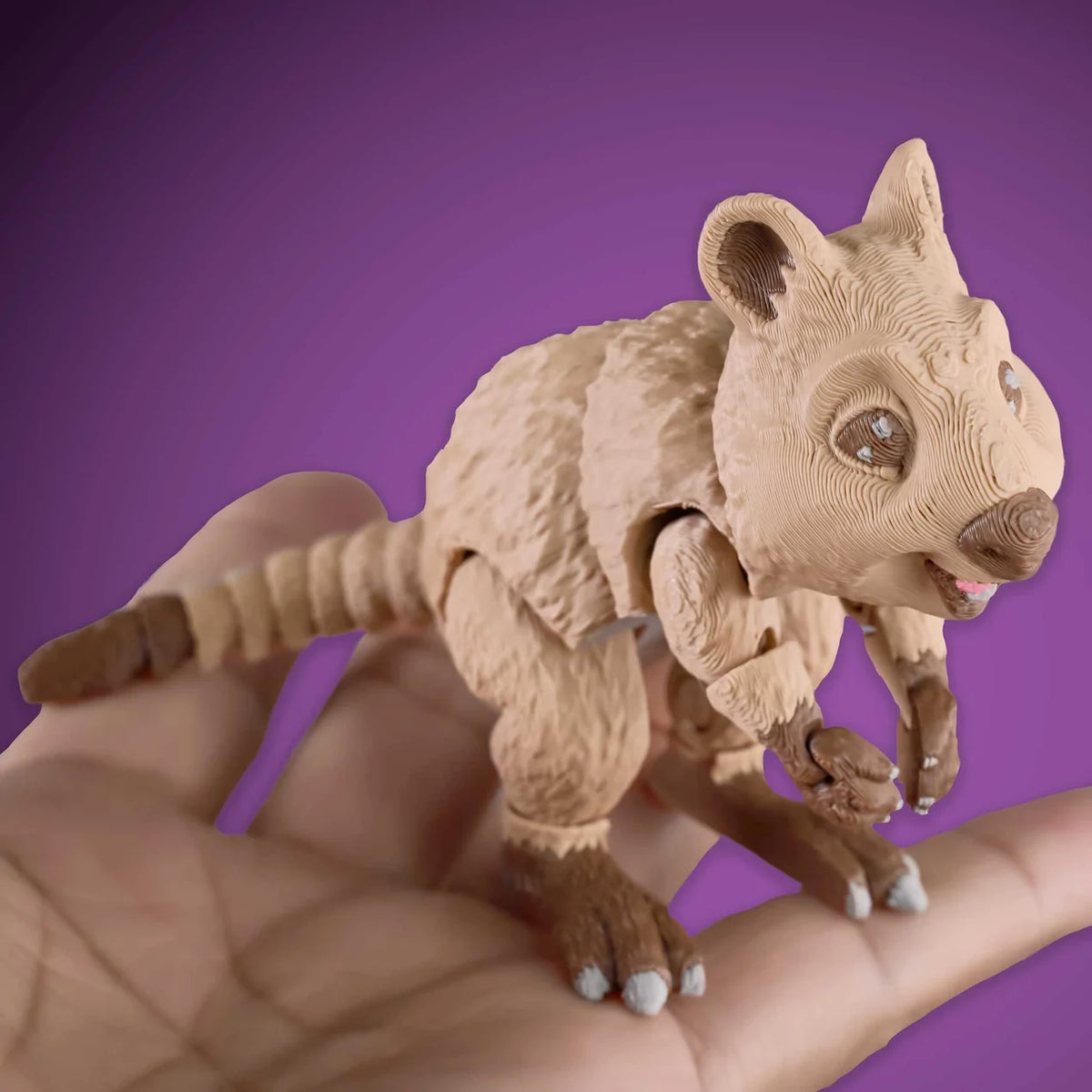 Palm Fidget | Quokka