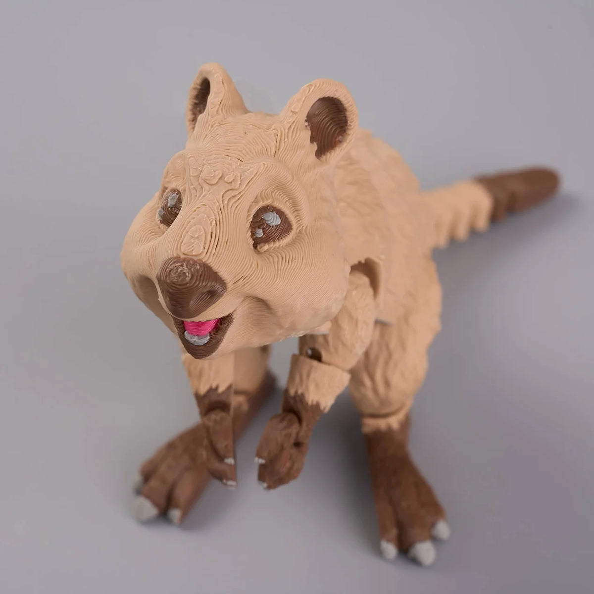 Palm Fidget | Quokka