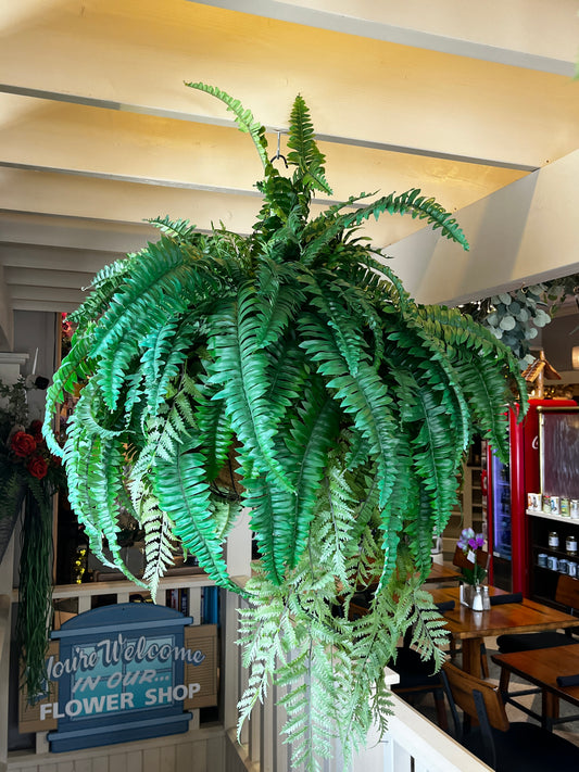 Hanging Outdoor Fern - UV Protected