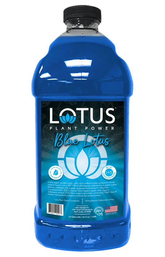 Lotus | Blue Lotus
