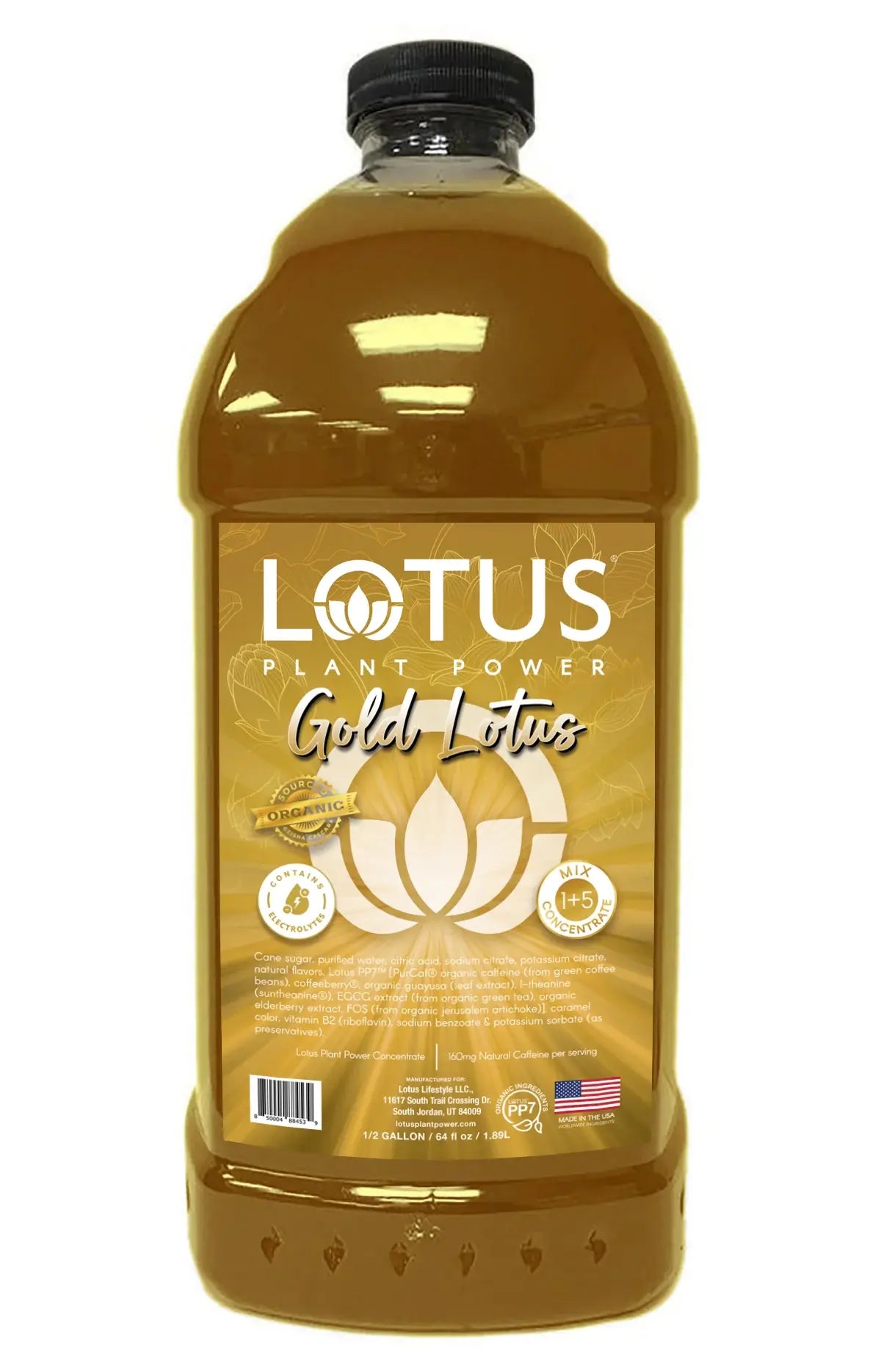 Lotus | Gold Lotus