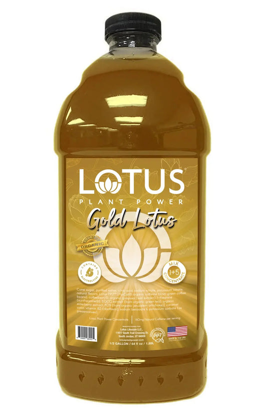 Lotus | Gold Lotus