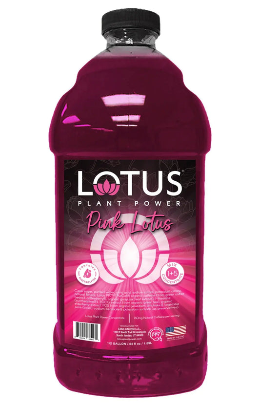 Lotus| Pink Lotus