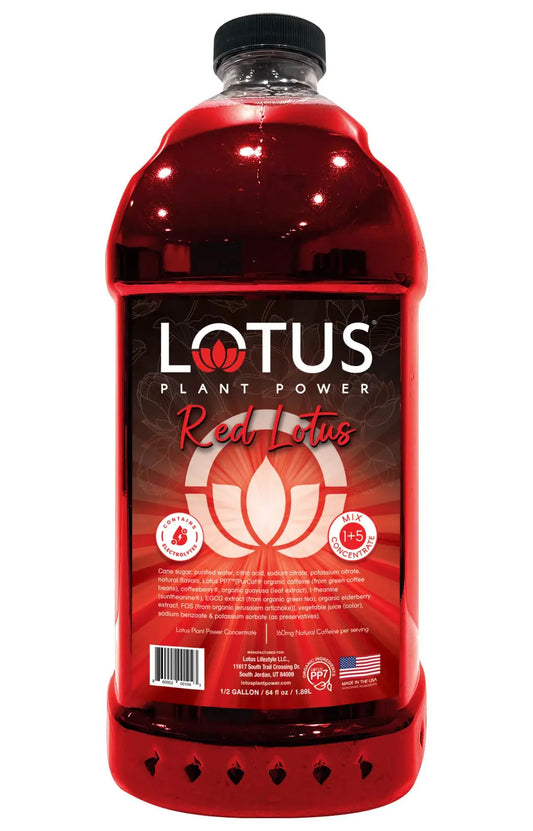 Lotus | Red Lotus