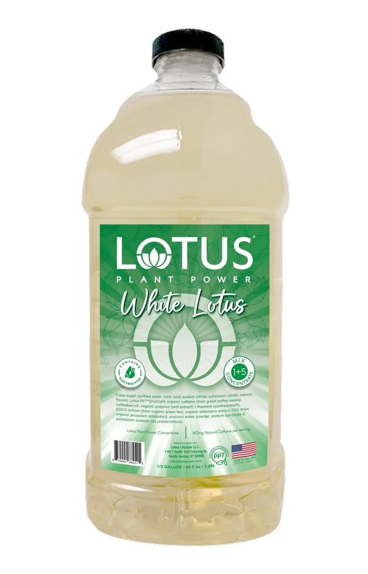 Lotus | White Lotus