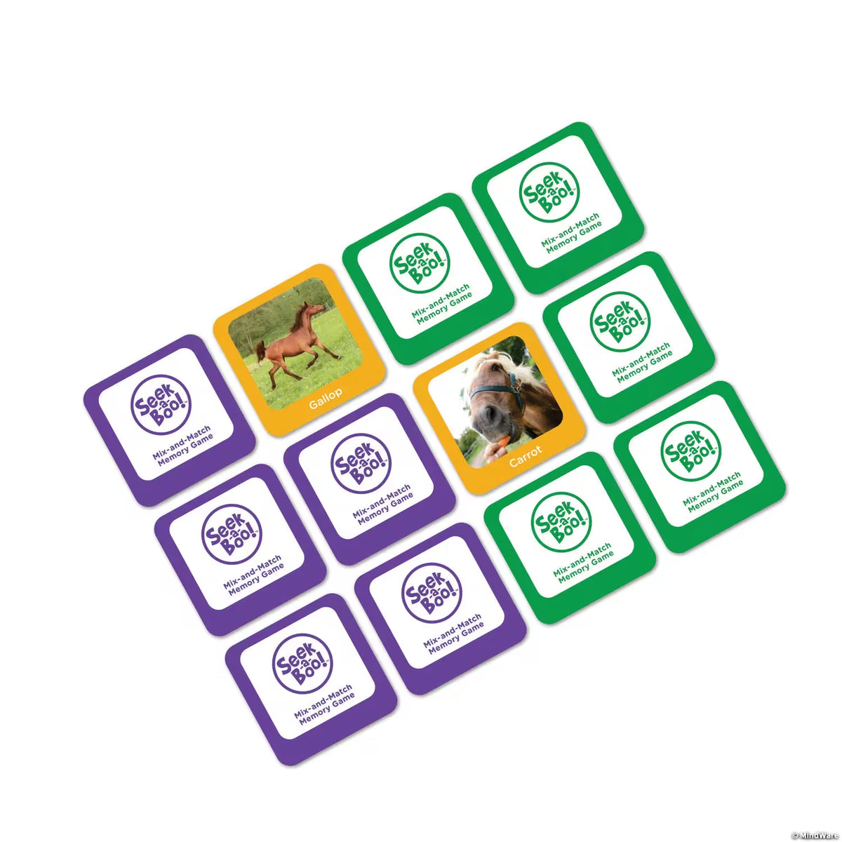 Seek-a-Boo Mix-and-Match Memory Game