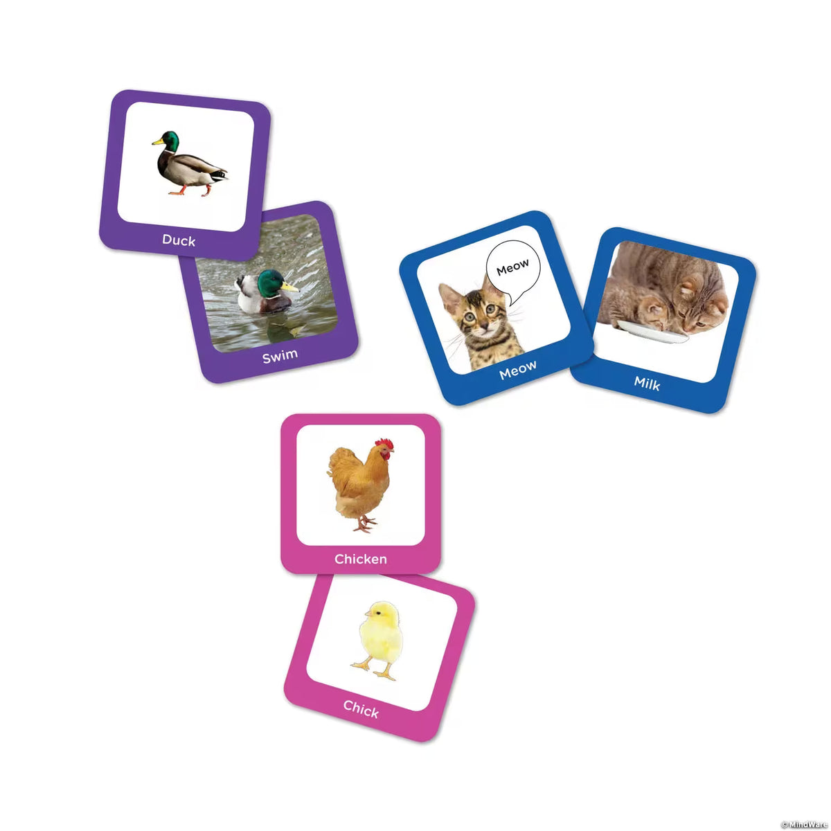 Seek-a-Boo Mix-and-Match Memory Game