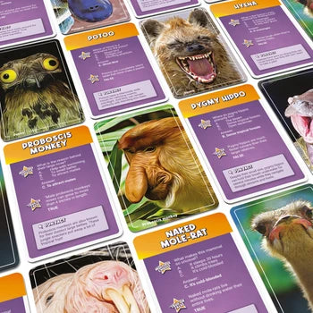 Ugly Animals