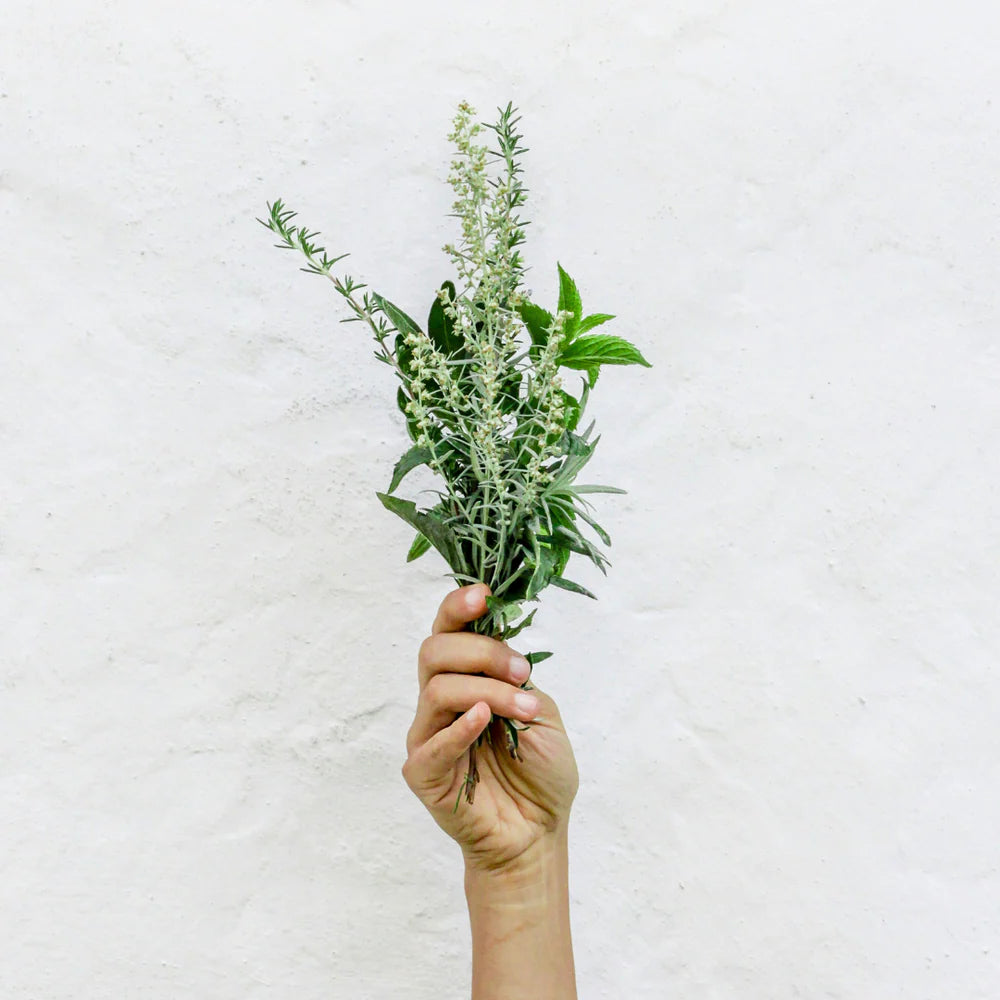 Rosemary Mint Body Cleanser No. 1520