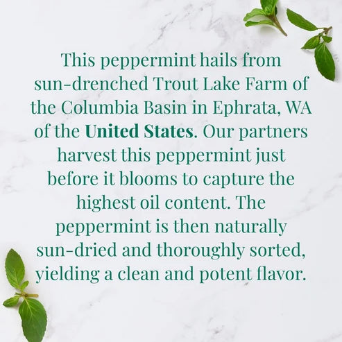 Organic American Peppermint SuperHerb® Herbs Of Origin Tea Bags