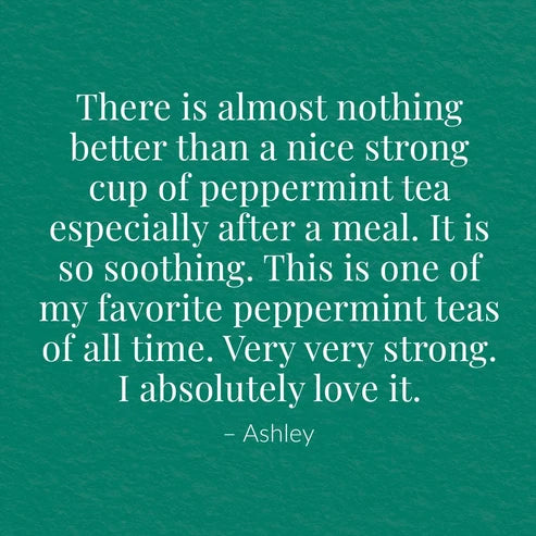 Organic American Peppermint SuperHerb® Herbs Of Origin Tea Bags