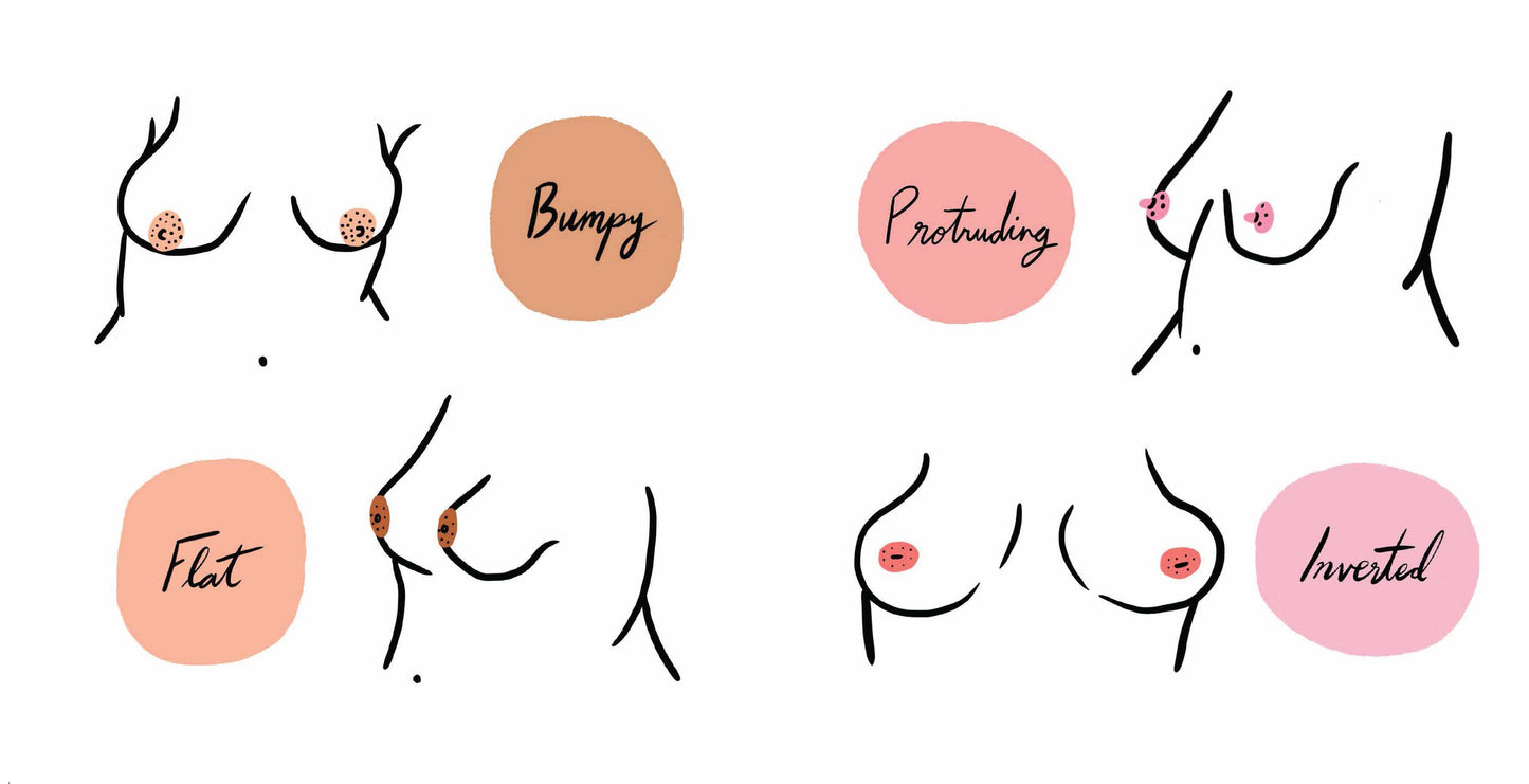 The Boob Book