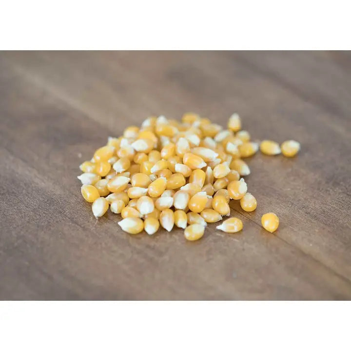 Medium Yellow Popcorn