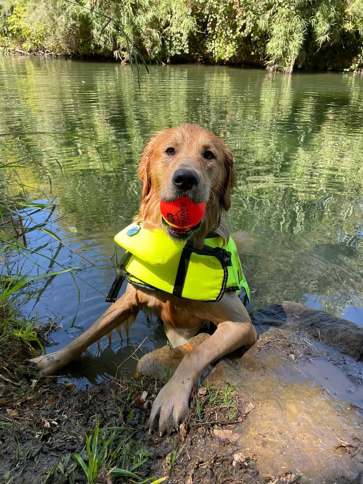 Fetch & Glow |  Glowing Fetch Ball | Medium