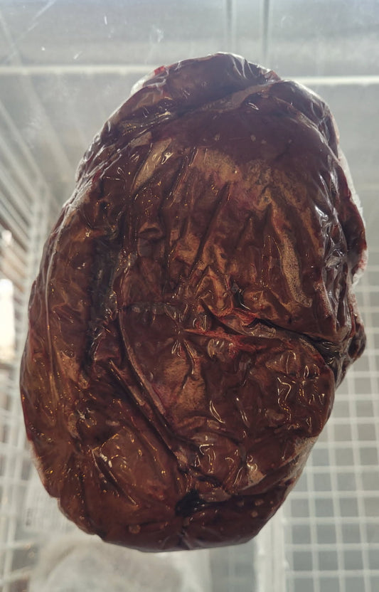 Beef Liver