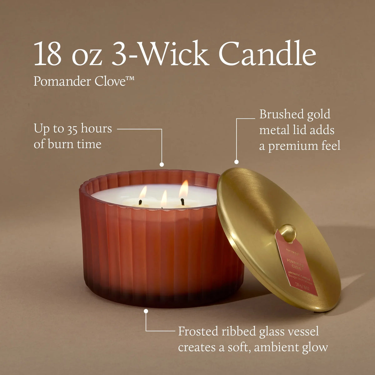 Pomander Clove 3 Wick Candle 18oz
