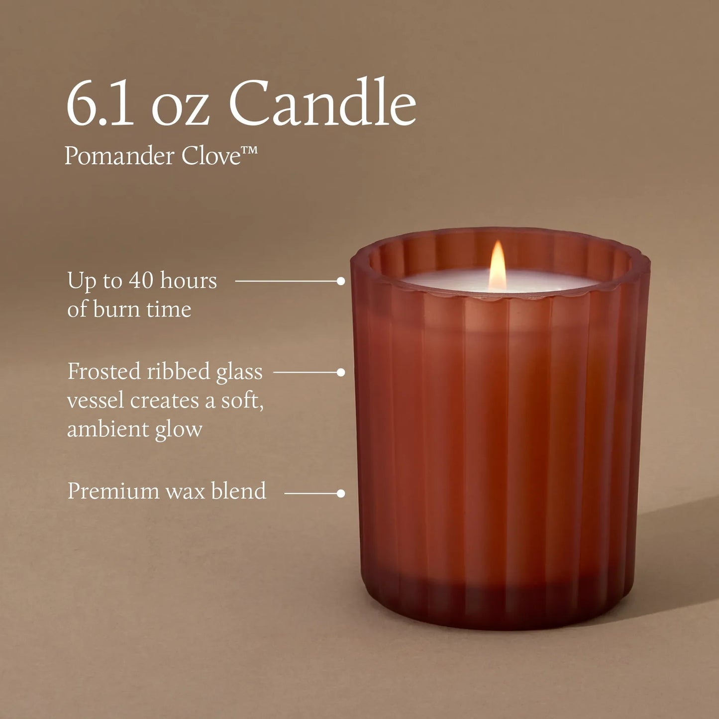 Pomander Clove Boxed Candle 6.1oz