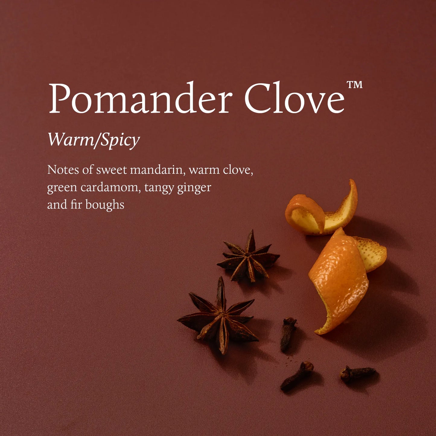 Pomander Clove Boxed Candle 6.1oz